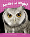 Level 2: Awake at Night CLIL