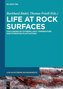 Life at Rock Surfaces