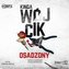 Osadzony. Seria o komisarz Lenie... audiobook