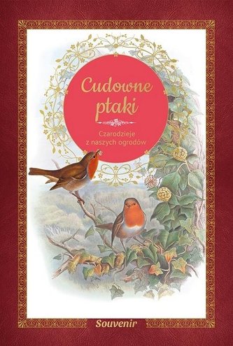 Cudowne ptaki. Czarodzieje z naszych ogrodów