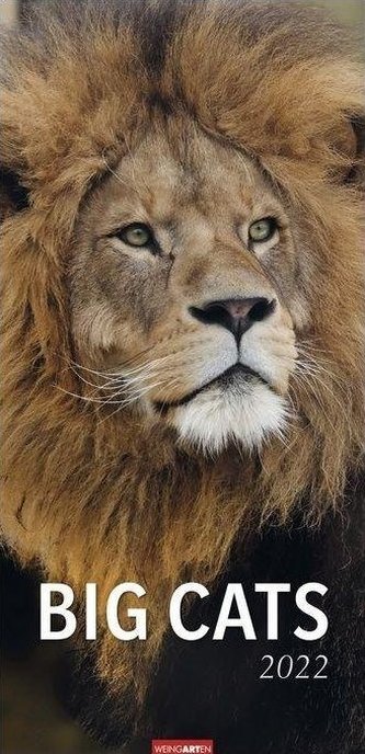 Big Cats Kalender 2022