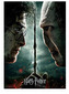 Puzzle Harry Potter: Harry vs Voldemort 1000 kusů (48 x 68 cm)