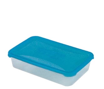 Dóza POLAR 29x19x6cm 2,7l