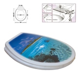 WC deska moře ostrov