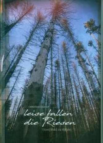 Leise fallen die Riesen