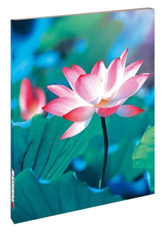 Pure Lotus