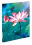 Pure Lotus