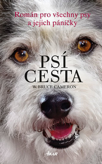 Psí cesta