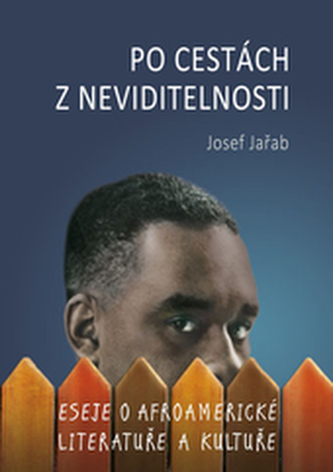 Po cestách z neviditelnosti Po cestách z neviditelnosti