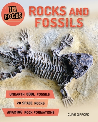 In Focus: Rocks and Fossils