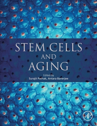 Stem Cells and Aging