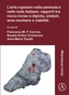 L'arte rupestre nella penisola e nelle isole italiane: rapporti tra rocce incise e dipinte, simboli, aree montane e viab