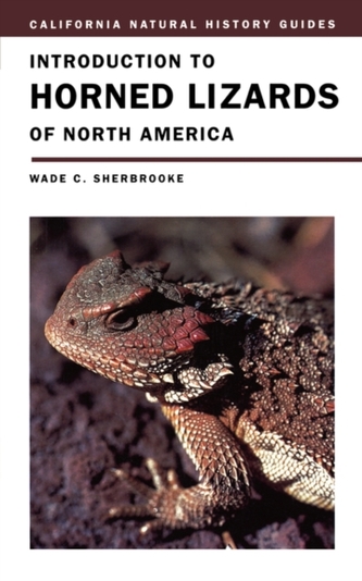 Introduction to Horned Lizards of North America