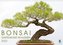 Bonsai: Gartenkunst im Kleinen (Wandkalender 2022 DIN A3 quer)