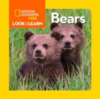 Look and Learn: Bears