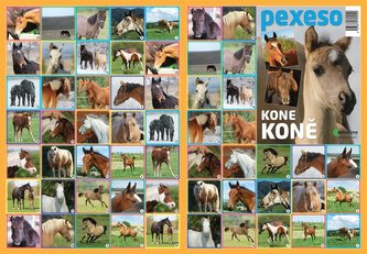 Pexeso - Koně