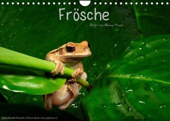 Frösche (Wandkalender 2022 DIN A4 quer)