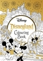 Disneyland Parks Colouring Book