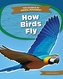 Science of Animal Movement: How Birds Fly