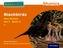 Read Write Inc. Phonics: Orange Set 4 Non-fiction 4 Blackbirds