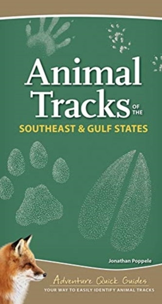 Animal Tracks of the Southeast & Gulf States