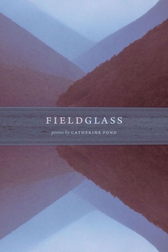 fieldglass