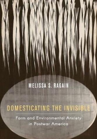 Domesticating the Invisible