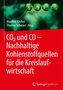 CO2 und CO - Nachhaltige Kohlenstoffquellen für die Kreislaufwirtschaft