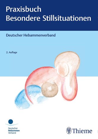Praxisbuch: Besondere Stillsituationen