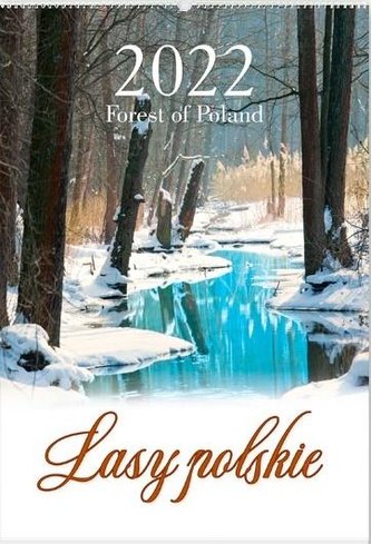 Kalendarz 2022 Reklamowy Lasy polskie RW4