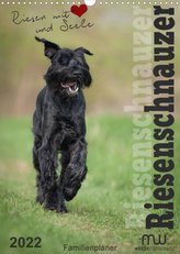 Riesenschnauzer - Riesen mit Herz und Seele (Wandkalender 2022 DIN A3 hoch)