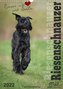Riesenschnauzer - Riesen mit Herz und Seele (Wandkalender 2022 DIN A3 hoch)