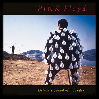 Plakát v rámu Pink Floyd: Delicate Sound Of Thunder (31,5 x 31,5 cm)