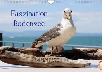 Faszination Bodensee (Wandkalender 2022 DIN A4 quer)