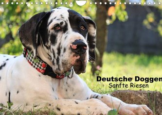 Deutsche Doggen - Sanfte Riesen (Wandkalender 2022 DIN A4 quer)