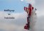 Modellflugzeuge über Friedrichshafen (Wandkalender 2022 DIN A3 quer)