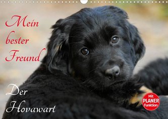 Mein bester Freund - Der Hovawart (Wandkalender 2022 DIN A3 quer)
