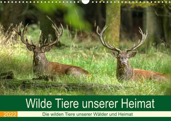 Wilde Tiere unserer Heimat (Wandkalender 2022 DIN A3 quer)