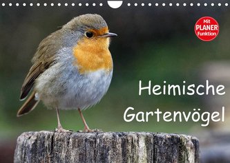 Heimische Gartenvögel (Wandkalender 2022 DIN A4 quer)