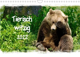 Tierisch witzig (Wandkalender 2022 DIN A4 quer)