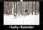 Husky-Kalender (Wandkalender 2022 DIN A4 quer)