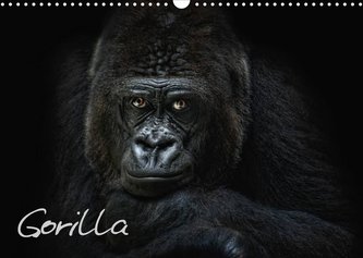 Gorilla (Wandkalender 2022 DIN A3 quer)