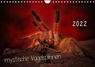 Mystische Vogelspinnen (Wandkalender 2022 DIN A4 quer)