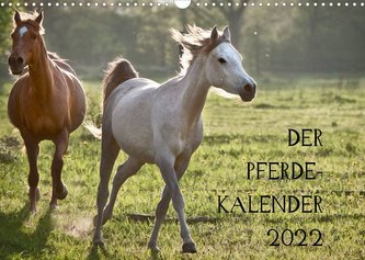 Pferdekalender (Wandkalender 2022 DIN A3 quer)