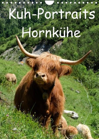 Kuhportraits Hornkühe (Wandkalender 2022 DIN A4 hoch)