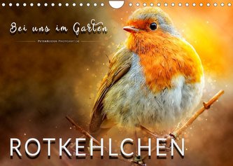 Bei uns im Garten - Rotkehlchen (Wandkalender 2022 DIN A4 quer)