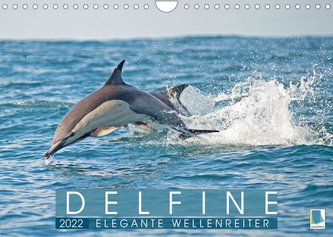 Delfine: Elegante Wellenreiter (Wandkalender 2022 DIN A4 quer)