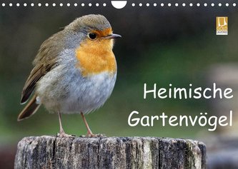 Heimische Gartenvögel (Wandkalender 2022 DIN A4 quer)