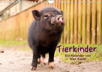 Tierkinder (Wandkalender 2022 DIN A4 quer)