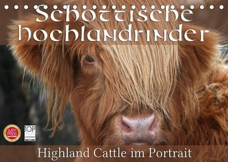 Schottische Hochlandrinder - Highland Cattle im Portrait (Tischkalender 2022 DIN A5 quer)